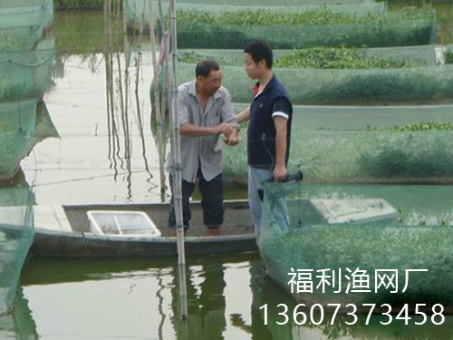 泥鰍網(wǎng)箱