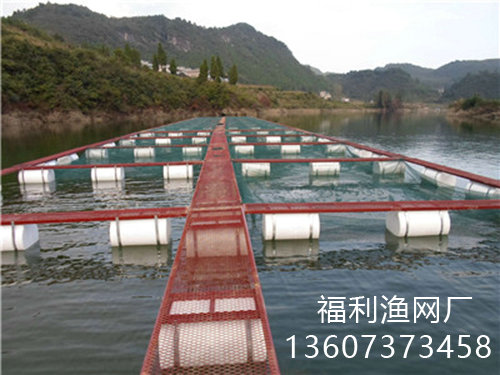 網(wǎng)箱