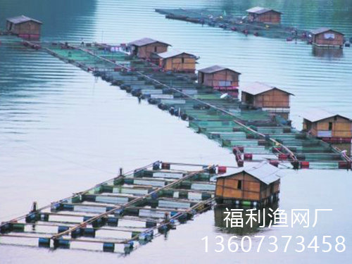 網(wǎng)箱