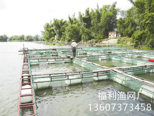 網(wǎng)箱
