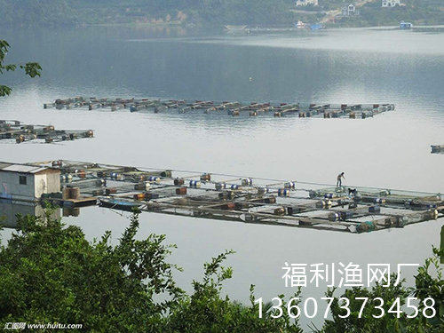 網(wǎng)箱