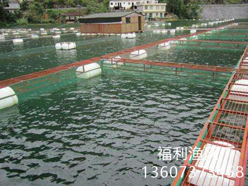 客戶案例