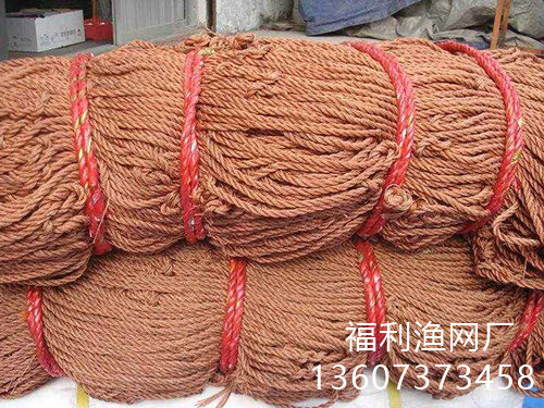 客戶案例 客戶案例