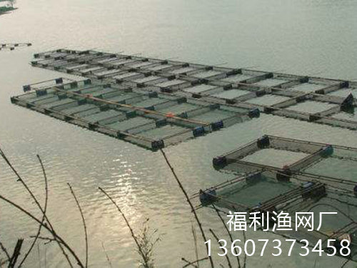 客戶案例 客戶案例