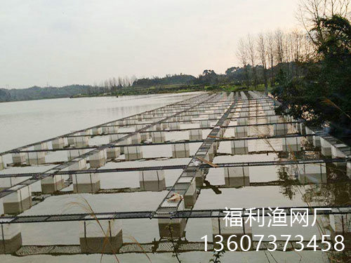 網(wǎng)箱