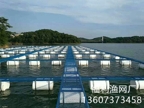 網(wǎng)箱案例