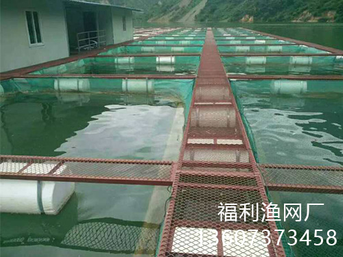 網(wǎng)箱案例