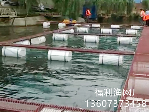 網(wǎng)箱案例